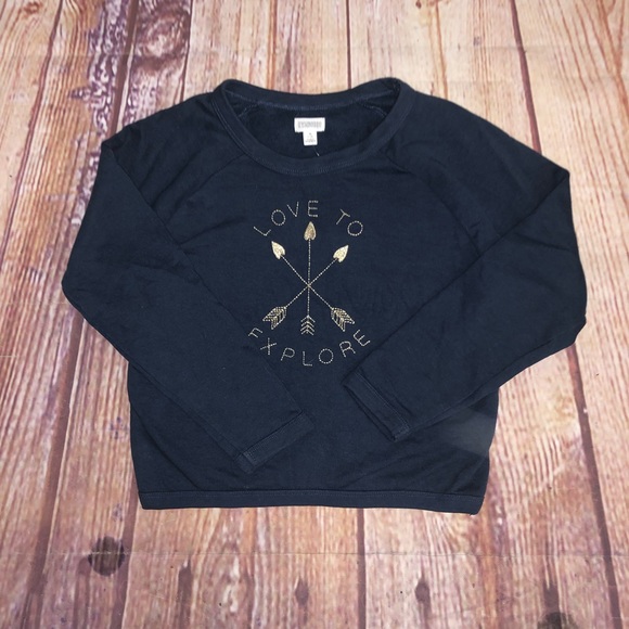 Gymboree Other - Gymboree love to explorer sweatshirt